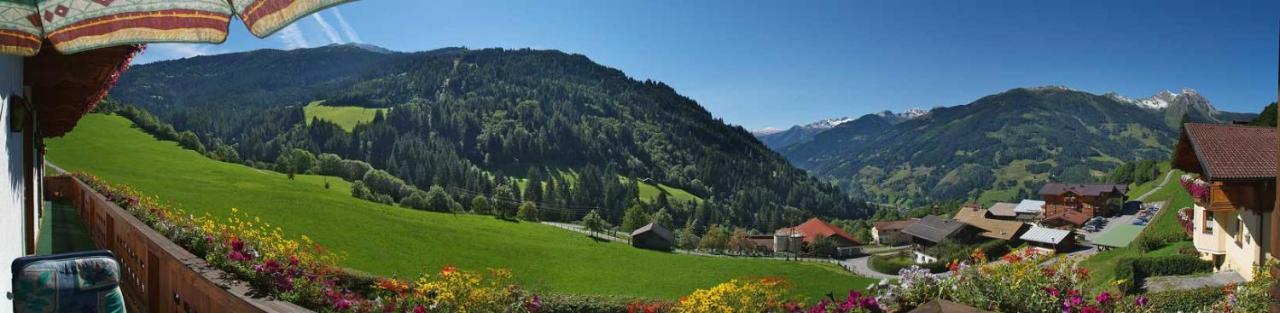 Appartement Gaestehaus Hagenhofer à Dorfgastein Extérieur photo